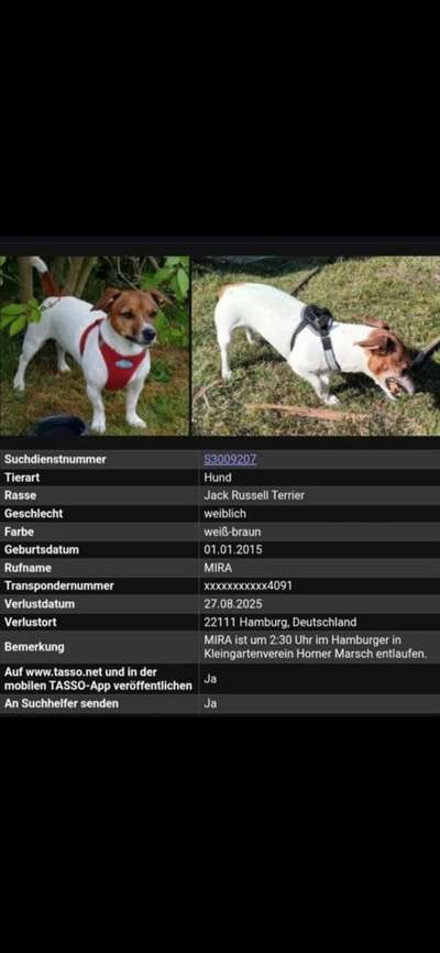 Suchmeldung-Mira-Bild