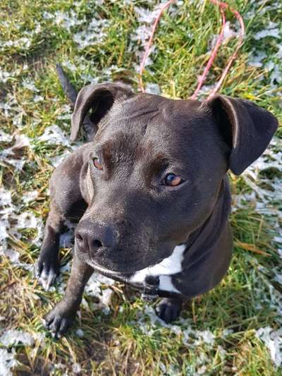 Schönen welt Frauen Tag !:)-Beitrag-Bild