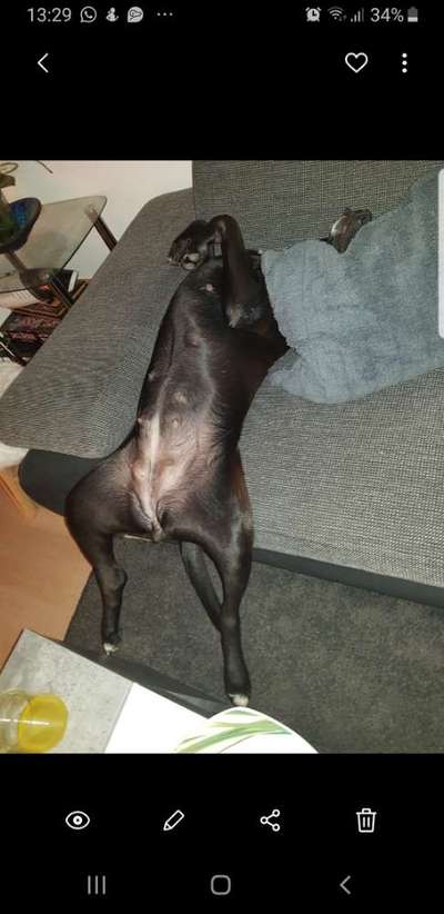 CHALLENGE NR. 34 - Liege-/Schlafpositionen-Beitrag-Bild