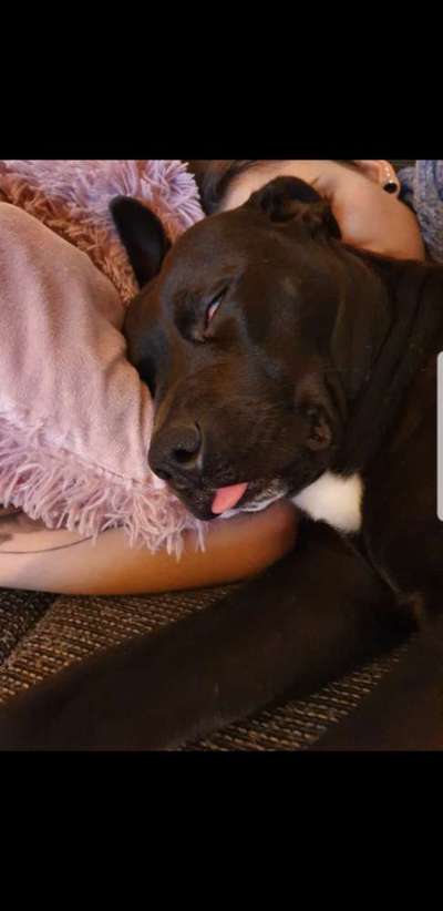 Challenge Nr 14
Eure Fellnasen auf ihrem Lieblingsplatz-Beitrag-Bild