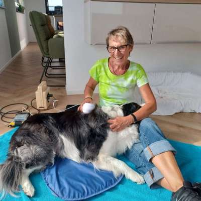 Weitere Unternehmen-Tierisch fit mobile Tierphysio für Hund-Bild