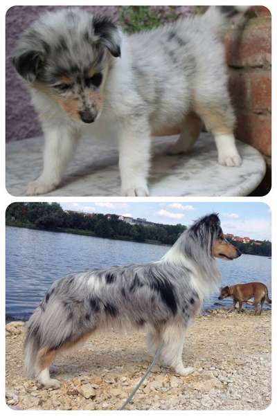 Vorher.... Nachher-Beitrag-Bild