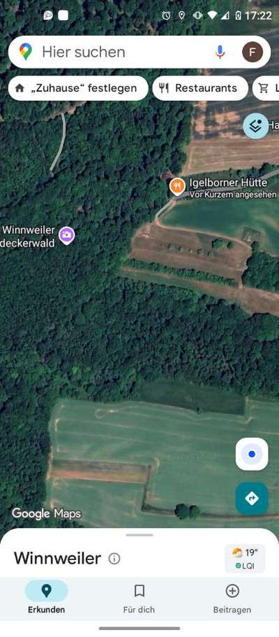 Hundeauslaufgebiet-Schöner Wald für Hunde-Bild