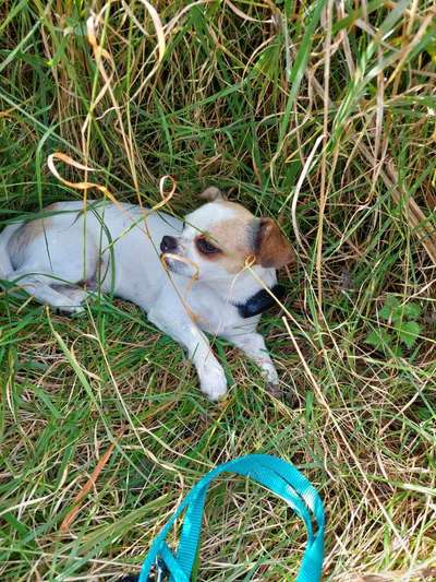 Fotowettbewerb Natur-Beitrag-Bild