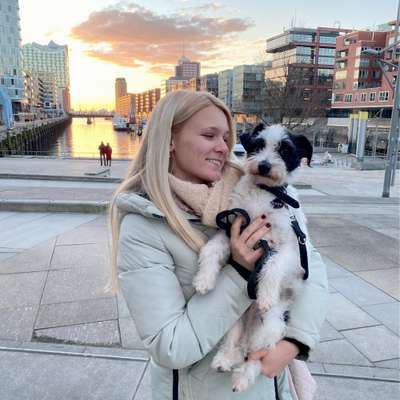 Hundetreffen-Spieltreffen-Bild