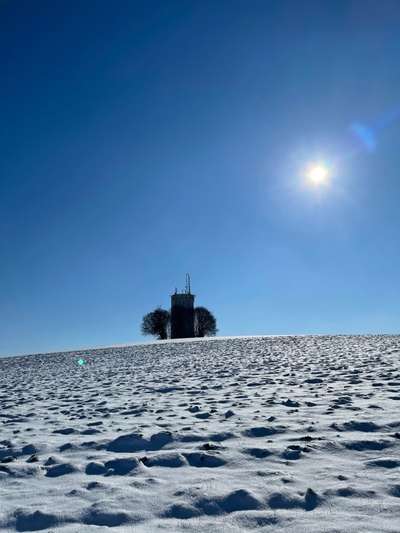 Hundeauslaufgebiet-Wasserturm Moosinning-Bild