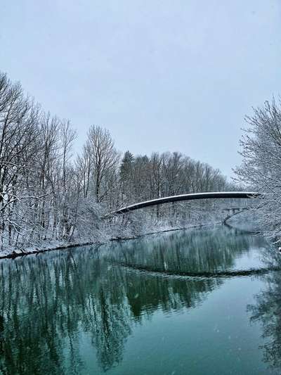 Hundeauslaufgebiet-Mittlerer Isarkanal-Bild