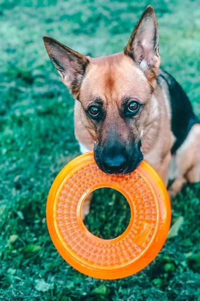 Euer schönster Moment des Jahres auf einem Bild!-Beitrag-Bild