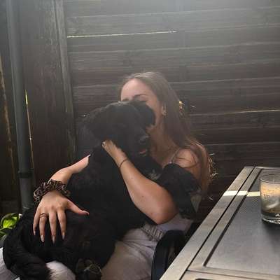 Hundetreffen-Spielen und ggf. Trainieren 🤎