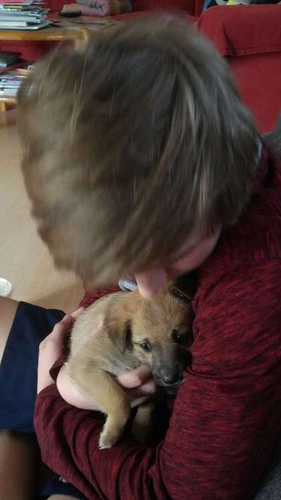 Lieblingsbild-Beitrag-Bild