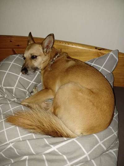 Lieblingsbild-Beitrag-Bild