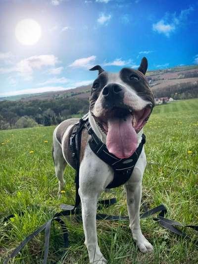 Das beste grinsefoto-Beitrag-Bild