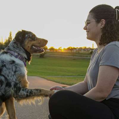 Hundetreffen-Gassitreffen