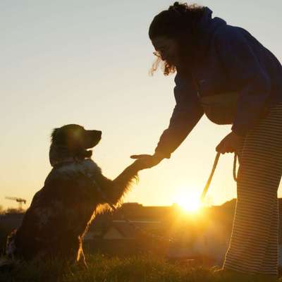 Hundetreffen-Gassitreffen