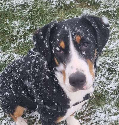 Lieblingsbild :D-Beitrag-Bild