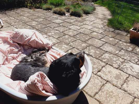 Fotochallenge 78

Es grünt und blüht-Beitrag-Bild