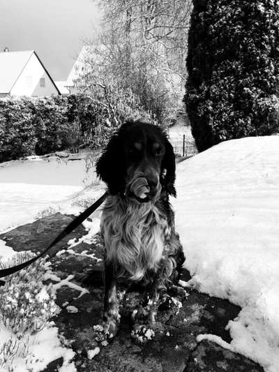 Foto-Challenge 76: Foto in Schwarz-Weiss-Beitrag-Bild