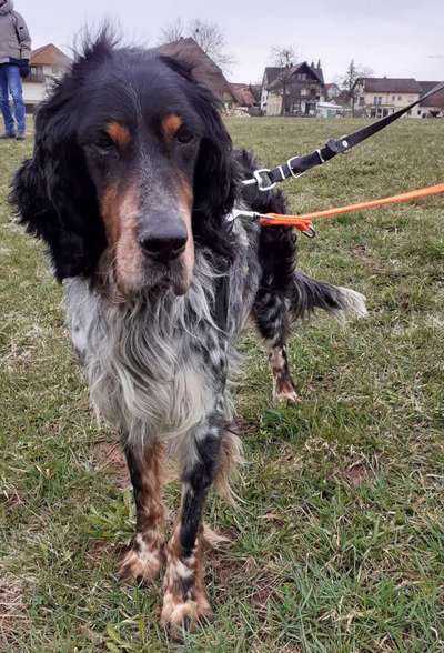 Foto Challenge 82-Beitrag-Bild