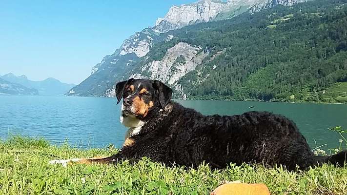 Fotochallenge 87: Im Park-Beitrag-Bild