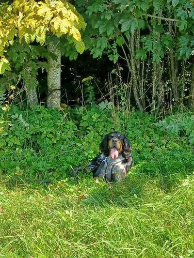 Foto Challenge Nr. 79-Beitrag-Bild