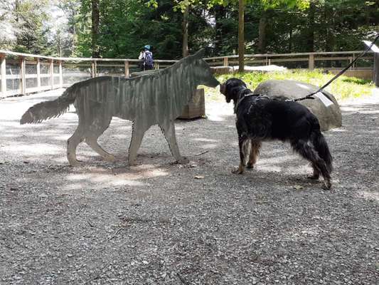 Fotochallenge 87: Im Park-Beitrag-Bild