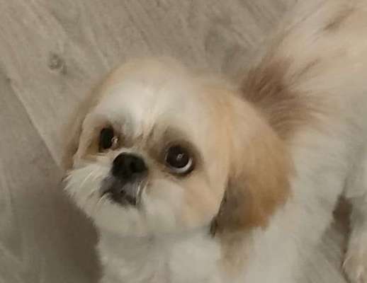 Vor dem Friseur - nach dem Friseur-Beitrag-Bild