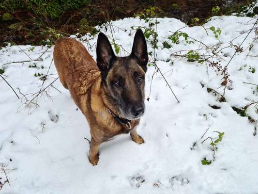 Fotochallenge Nr. 56 - geliebte Senioren-Beitrag-Bild