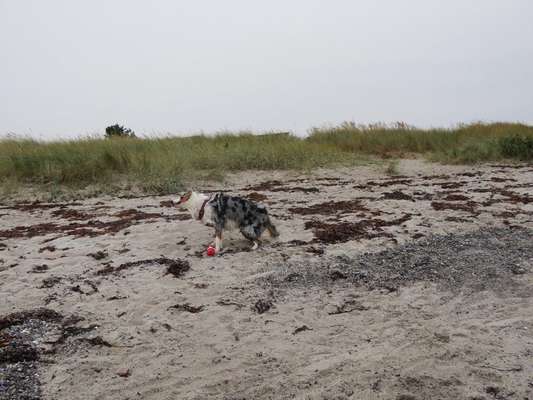 Eure Strandbilder :)-Beitrag-Bild