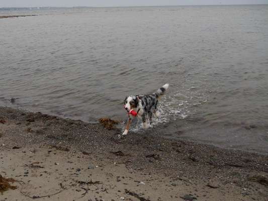 Eure Strandbilder :)-Beitrag-Bild