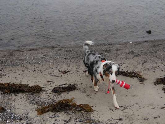 Eure Strandbilder :)-Beitrag-Bild