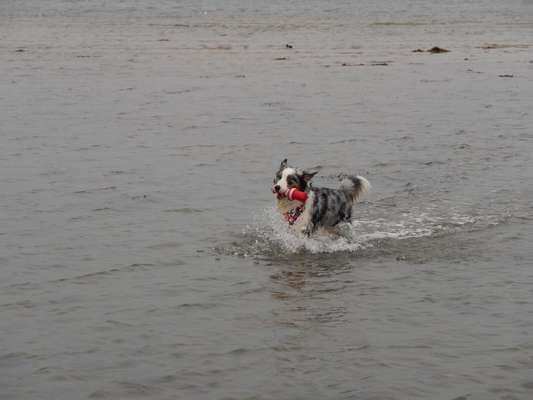 Eure Strandbilder :)-Beitrag-Bild