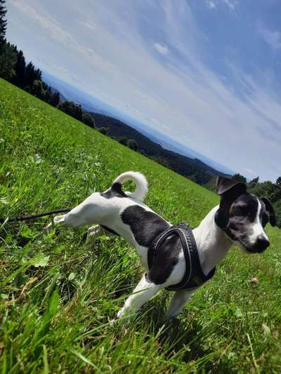 Lieblings Fotos-Beitrag-Bild