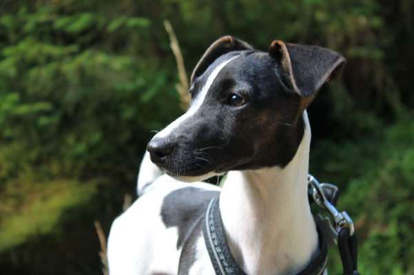 Lieblings Fotos-Beitrag-Bild