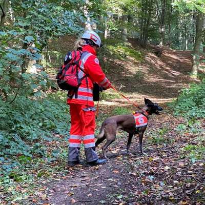 Hundetreffen-Sichtungstraining DRK Rettungshundestaffel Fläche/ Trümmer-Bild