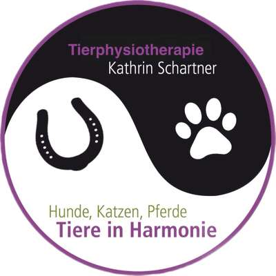 Medizinische Dienstleistungen-Hundephysio Tiere in Harmonie-Bild