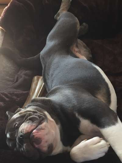 Fotochallenge Nr.65-Beitrag-Bild