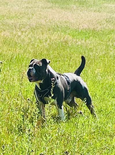 Lieblingsbild-Beitrag-Bild