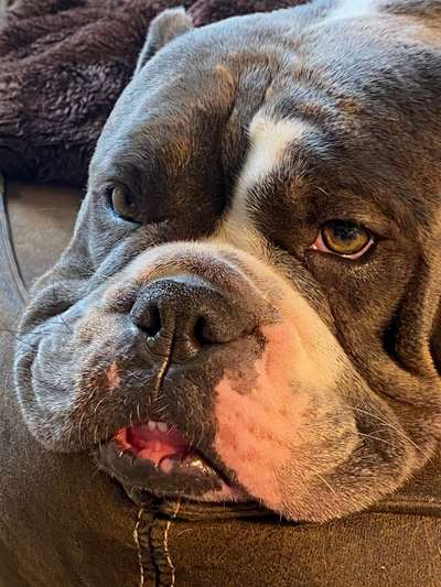 Her mit dem Grimassen-Beitrag-Bild