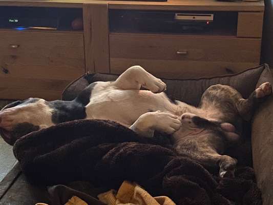 Die unbequemsten und lustigsten Schlafpositionen-Beitrag-Bild