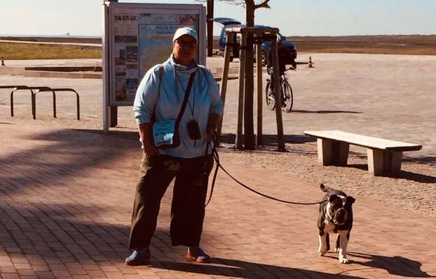 Dogorama Photo Challenge - Tierischer Urlaub-Beitrag-Bild