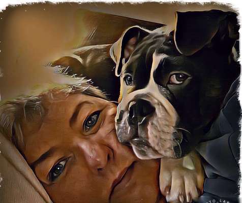 Lieblingsbild-Beitrag-Bild