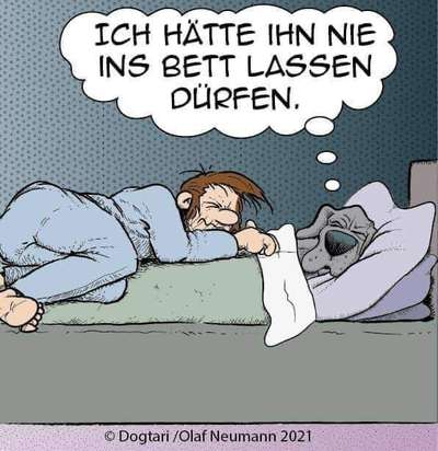 Darf der Hund bei Euch im Bett schlafen?-Beitrag-Bild