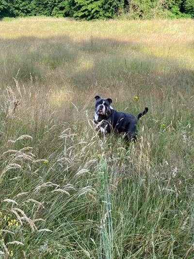 Fotowettbewerb Natur-Beitrag-Bild
