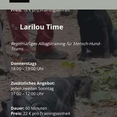 %{de_profession_title}-Gruppentraining Larilou Time-Bild