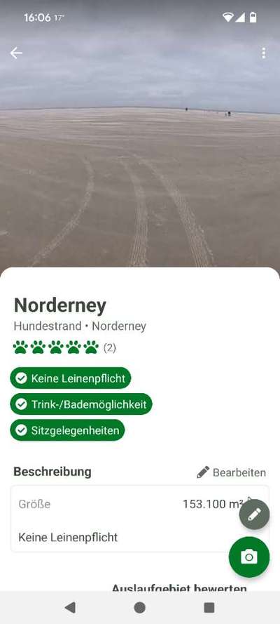 Hundewiese Norderney-Beitrag-Bild