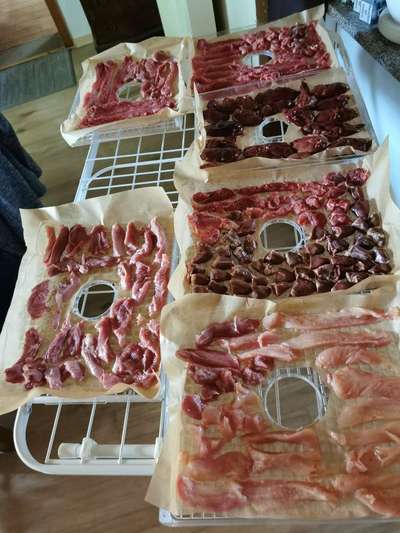 Fleisch und Innereien dörren-Beitrag-Bild