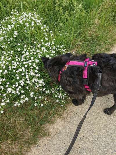 Fotowettbewerb Natur-Beitrag-Bild