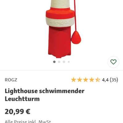 Wasserspielzeug zum Apportieren gesucht-Beitrag-Bild