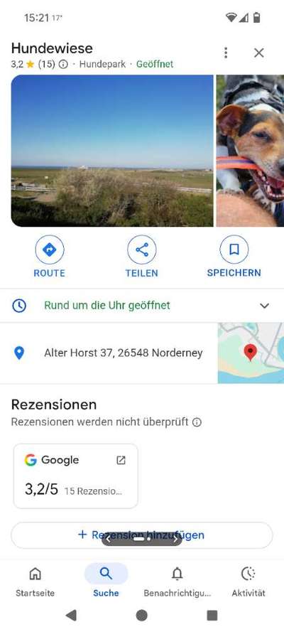 Hundewiese Norderney-Beitrag-Bild