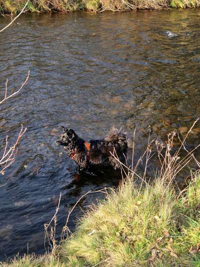 Schwimmen-Beitrag-Bild